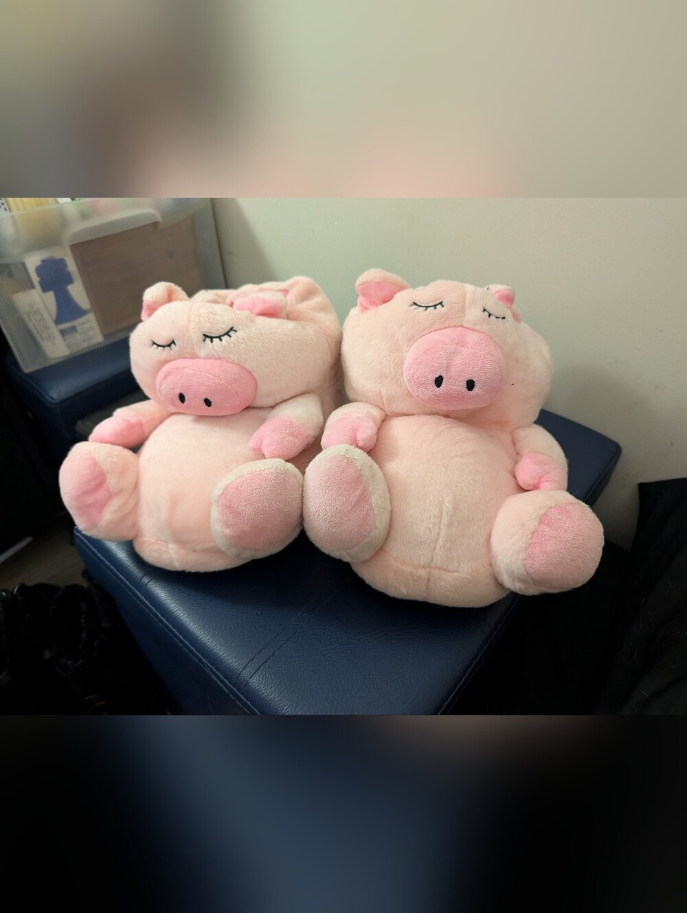 Piggy Slippers Women Size 8 Only Worn A Few Times
